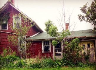 Kvinden fotograferer et forladt hus. Men hun havde ikke forventet at finde dette, da hun gik ind!